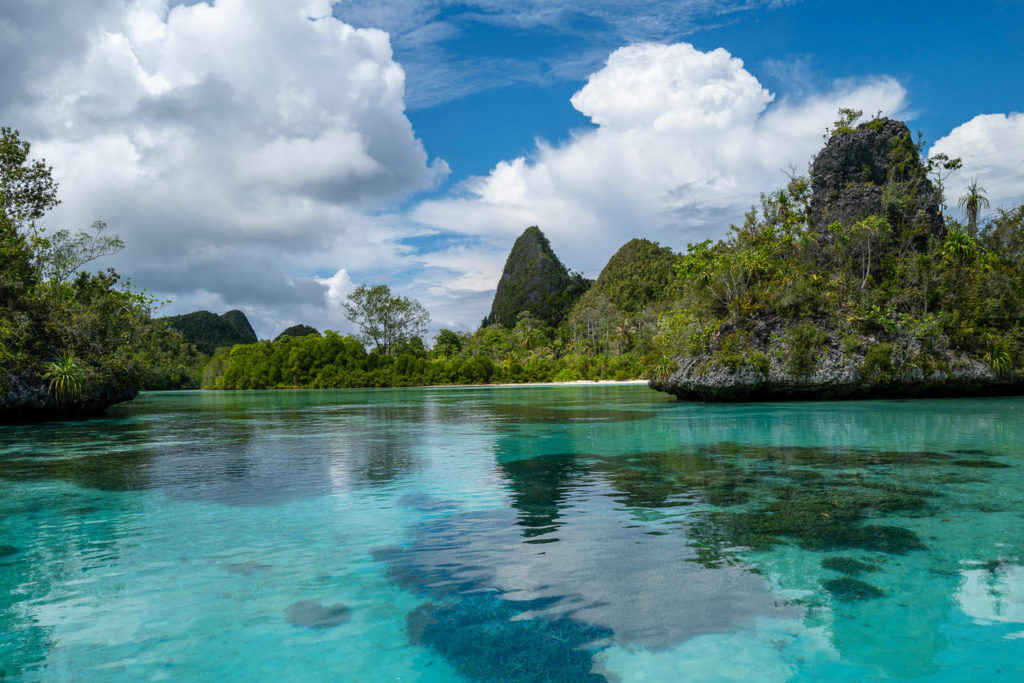 Remote South Pacific Island