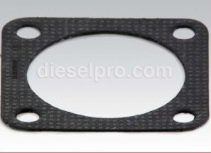 Gasket for manifold flange