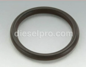 Twin Disc Oil Strainer O-Ring for Marine Transmission MG502 & MG506