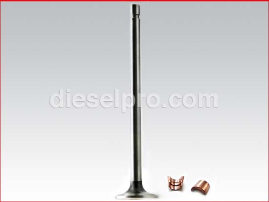 Detroit Diesel Valvula de aspiracion para motores 8.2 ltr