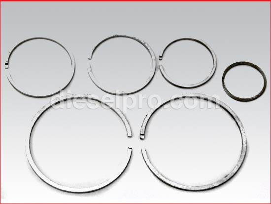 Set di anelli a doppio disco per trasmissione marina MG509