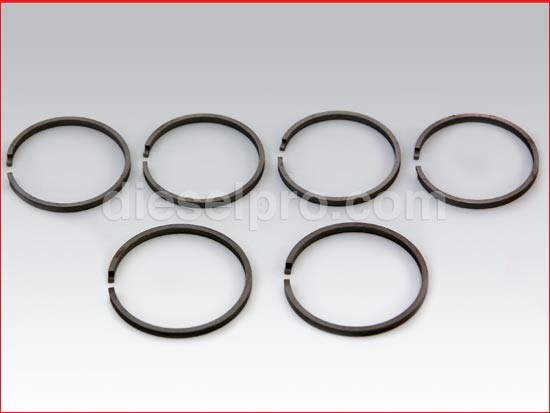 Set di anelli a doppio disco per trasmissione marina MG506