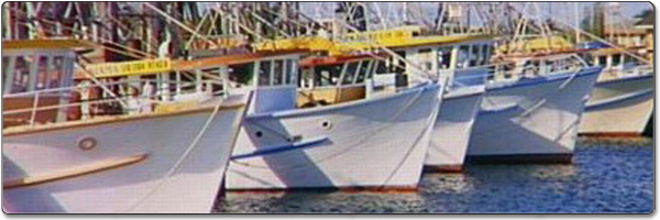 Barco de pesca, Twin Disc, equipamento marítimo, transmissão marítima, mg502, mg506, mg507, mg5075, mg509, mg514, mg521, mg527, mg5111, mg5114, mg5090, mg5091, mg5050, mg5061, Placas de embreagem, Placas de disco de fricção, Bloco de borracha, Acoplamento de borracha, medidores, vedações, peças, engrenagens, embreagens, twindisc, distribuidor de reposição, barcos de pesca
