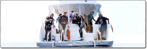 Bateau de plongée sous-marine, Twin Disc, équipement marin, transmission marine, mg502, mg506, mg507, mg5075, mg509, mg514, mg521, mg527, mg5111, mg5114, mg5090, mg5091, mg5050, mg5061, plaques d'embrayage, plaques à disque de friction, bloc en caoutchouc , Accouplement en caoutchouc, Jauges, Joints, pièces, engrenages, embrayages, twindisc, distributeur de rechange, Bateaux de plongée sous-marine